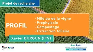 Miniature : Projet PROFIL– Mesures prophylactiques en viticulture – Colloque Ecophyto R&I juin 2025