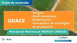 Miniature : Projet ODACE - Outil de dialogue pour la protection des vergers – Colloque Ecophyto R&I juin 2025