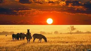 Miniature : Voyage en Afrique : 10 Lieux Fascinants Entre Rêve et Réalité