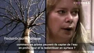 Miniature : ECOSFIX - ITW ALEXIA STOKES - le projet - 2012