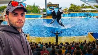 Miniature : On Découvre le nouvel ENFER des Orques de MARINELAND