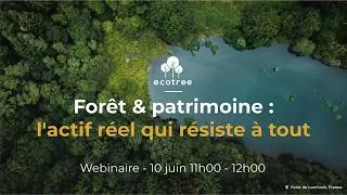 Miniature : Webinaire: Forêt & patrimoine, l'actif réel qui résiste à tout (replay) | EcoTree