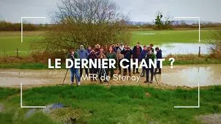 Miniature : Le dernier chant ? - MFR de Stenay - 2026