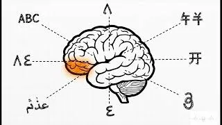 Miniature : Comment le cerveau apprend à lire ? 🧠 | Les neurones de la lecture – Stanislas Dehaene (ENS-PSL)