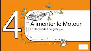 Miniature : SVT 2ème BAC – Unité 1 : Suite – Flux d’énergie & bilan énergétique (explications)
