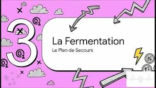 Miniature : SVT 2ème BAC – Unité 1 : Consommation de la matière organique & flux d’énergie (cours complet)