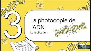 Miniature : La Nature de l’Information Génétique 🧬 | ADN, Mitose & Cycle Cellulaire | SVT 2BAC Sciences