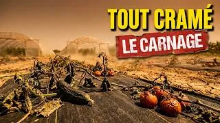 Miniature : LES PETITE FERMES VONT DISPARAITRE ! Tout crame !