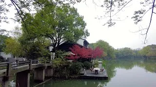 Miniature : China : Lost in the Calm of Xixi Wetland Park Hangzhou