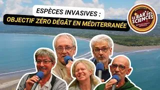 Miniature : Espèces invasives : objectif zéro dégât en Méditerranée - Bar des sciences 2026