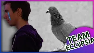 Miniature : L'assassinat du pigeon de Wakz • TEAM EC