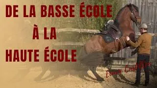 Miniature : ⭐ Comment je dresse un cheval de la basse à la haute école | Méthode complète de A à Z ⭐
