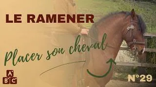 Miniature : ⭐ comment placer son cheval, le ramener : principes et mise en pratique ⭐