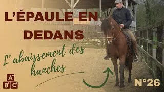 Miniature : ⭐ Épaule en dedans : comprendre l’abaissement des hanches ⭐