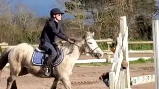 Miniature : A VENDRE Poney PFS PAR POPSTAR DES NOUETTES    https://ecurie-leseigneur-camping-gite.com