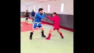 Miniature : SAMBO COMBAT liaison poings balayage projection et clef de jambe #sambo #mma #bjj #самбо