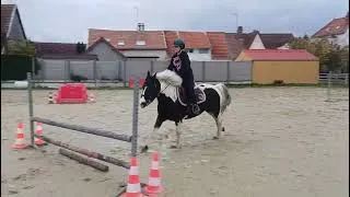 Miniature : [Équitation] Cours de sauts d'obstacles on passe les 1m05 