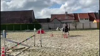 Miniature : [Equitation] sauts d'obstacles 