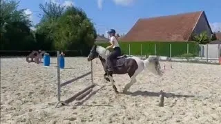 Miniature : [Equitation] Un petit cours de sauts d obstacles 70 cm pas plus 