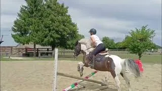 Miniature : [Equitation] Cours de sauts d obstacles