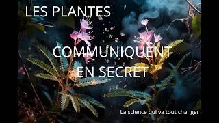 Miniature : 🌿Le secret des plantes que personne ne t'a jamais dit 🔬