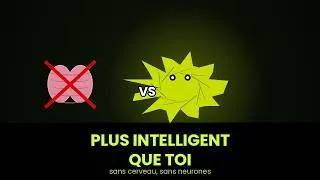 Miniature : Il n'a PAS de cerveau mais il résout des problèmes que TU ne peux pas
