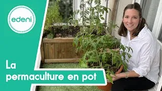 Miniature : La permaculture en pot