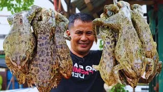Miniature : Ce Que la Chine Fait Avec Ces Grenouilles Va Vous Glacer le Sang ! 🐸
