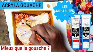Miniature : Mes Acryla Gouache préférées 😻 On peint un chat dans une boîte !