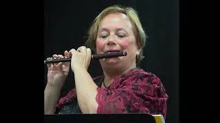 Miniature : DE VIENNE Bernard - Récursif pour piccolo seul et percussion ad libitum