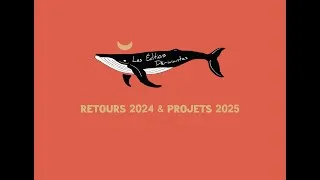 Miniature : Bilan 2024 // Projets 2025