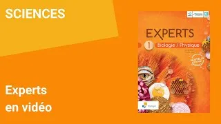 Miniature : Experts - Enseignement des sciences en secondaire