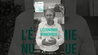 Miniature : L'économie numérique - Nicolas van Zeebroeck