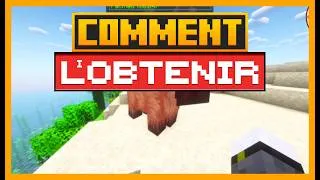 Miniature : COMMENT UTILISER JOSEPHOARTIGACIA DANS MINECRAFT MÉNAGERIE PARADOXALE