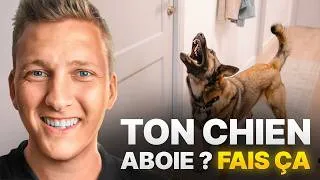 Miniature : Chien Aboie : Méthode Simple et Efficace