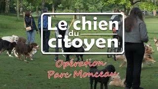 Miniature : Dans la peau d'un chien du parc Monceau (partie 1)
