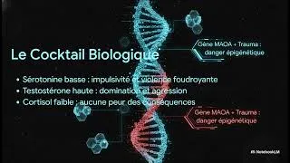 Miniature : Décoder l’Esprit Criminel : Dans le Cerveau de la Violence Humaine