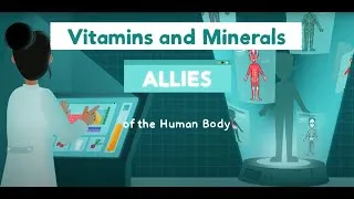 Miniature : Vitamins and Minerals: Allies of the Human Body