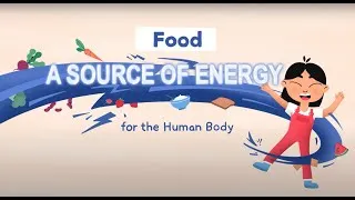 Miniature : Food: A Source of Energy for the Human Body