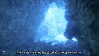Miniature : 🌊 NOUVELLE ESPÈCE MARINE 2025   UN MYSTÈRE DES FONDS OCÉANIQUES ! 😲 #ÉducationsBio