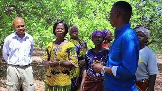 Miniature : CÔTE D'IVOIRE: DÉCOUVREZ LES SECRETS DU BEURRE DE KARITÉ (Première partie)