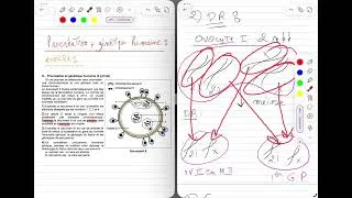 Miniature : Révision 10 : Procreation + genetique (1)
