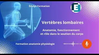Miniature : Les vertèbres lombaires - Anatomie et rôle dans le soutien du corps - Édulys formation