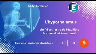 Miniature : L'hypothalamus - Chef d'orchestre de l'équilibre hormonal et émotionnel - Édulys formation