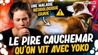 Miniature : Une maladie neurologique grave : le Syndrôme de la Moëlle Attachée | Laetitia Gonnon - Eduzen