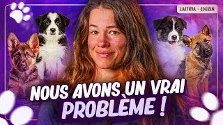 Miniature : Le problème des races de chien à la mode ! | Laetitia Gonnon - Eduzen