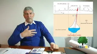 Miniature : Champs électromagnétiques, rayonnements... Les phénomènes géobiologiques