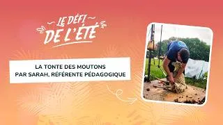 Miniature : Défi de l'été 🐑 Sarah relève le challenge !