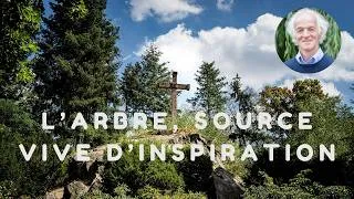 Miniature : L'arbre, source vive d'inspiration