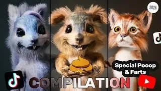 Miniature : EGOFILM BESTOF - SPECIAL FART & POOP  (TikTok & Short Compilation) 🐿️🐿️ - FUNNY SQUIRRELS - 2024